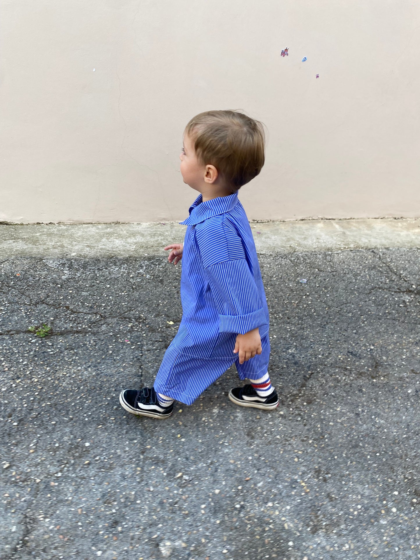 Bermuda Elio